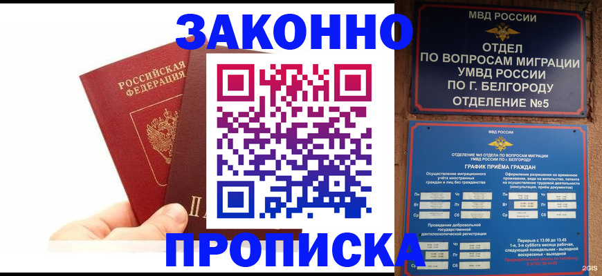временная регистрация для школы в Мурманской области